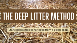 The Deep Litter Method - text on a background of straw bedding in a duck coop
