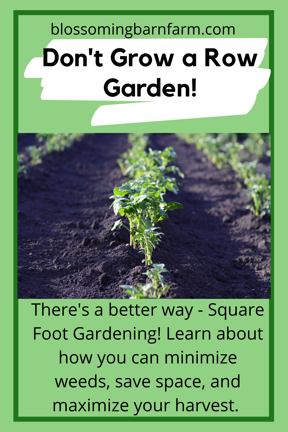 Don't Grow A Row Garden - the best gardening method is square foot gardening. Text on green background with row of young green plants in the center